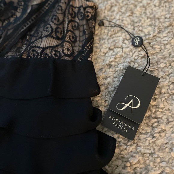 Adrianna Papell Lace Bodice Shutter Dress - Picture 11 of 16